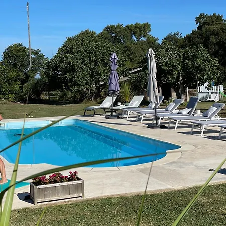 Figtrees * Margueron