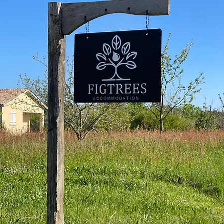 Figtrees * Margueron