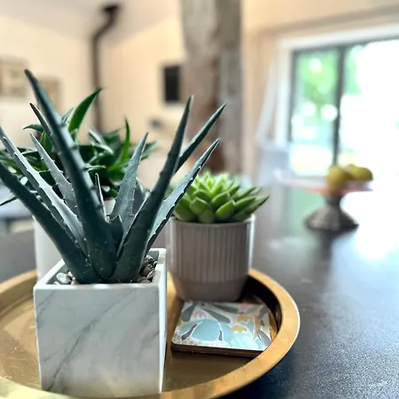 Bed & Breakfast Figtrees *