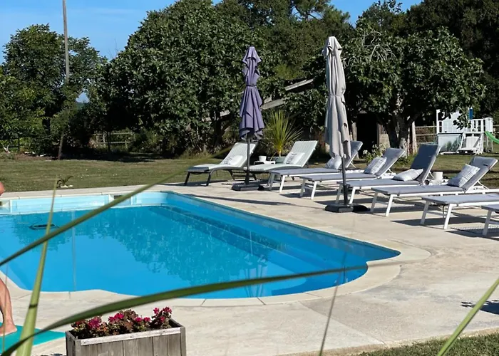 Figtrees * Margueron