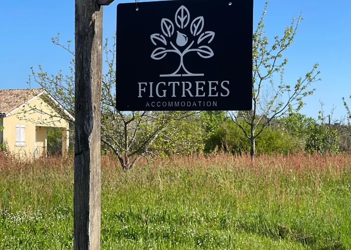 Figtrees * Margueron