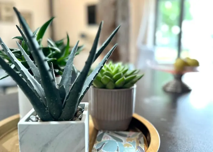 Alojamento de Acomodação e Pequeno-almoço Figtrees *